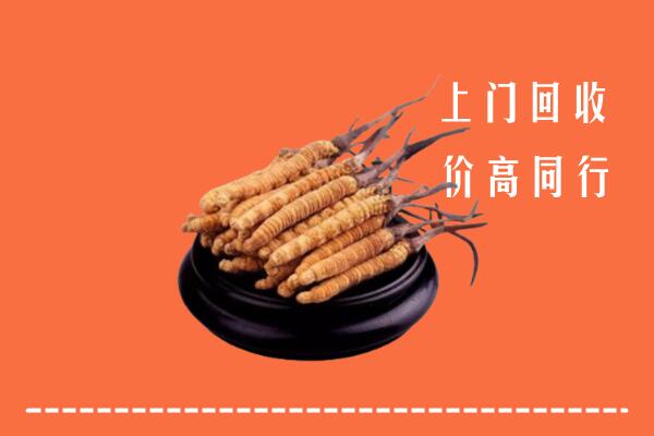 高价求购：石狮市回收散虫草