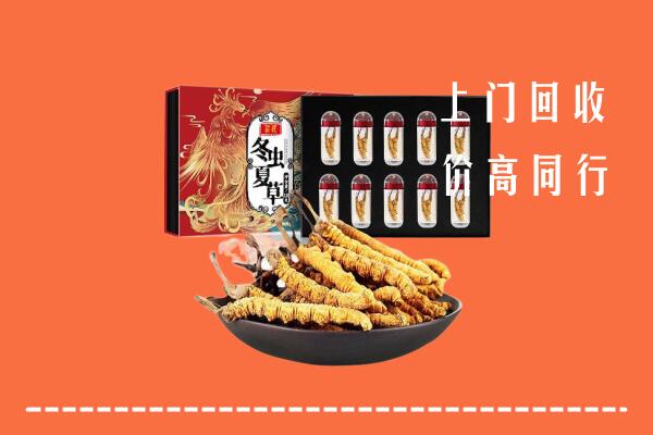 收购行情：石狮市回收虫草